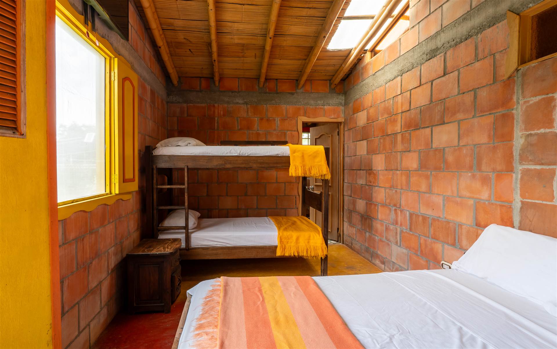 Habitación 11. Tortuga Pámpano - El Encanto